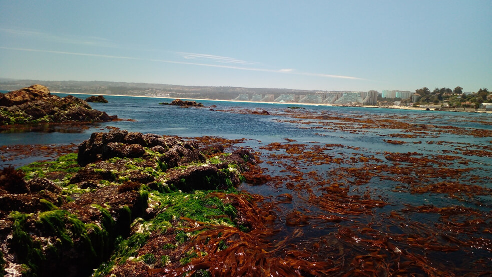 Bahía de Reflexiones