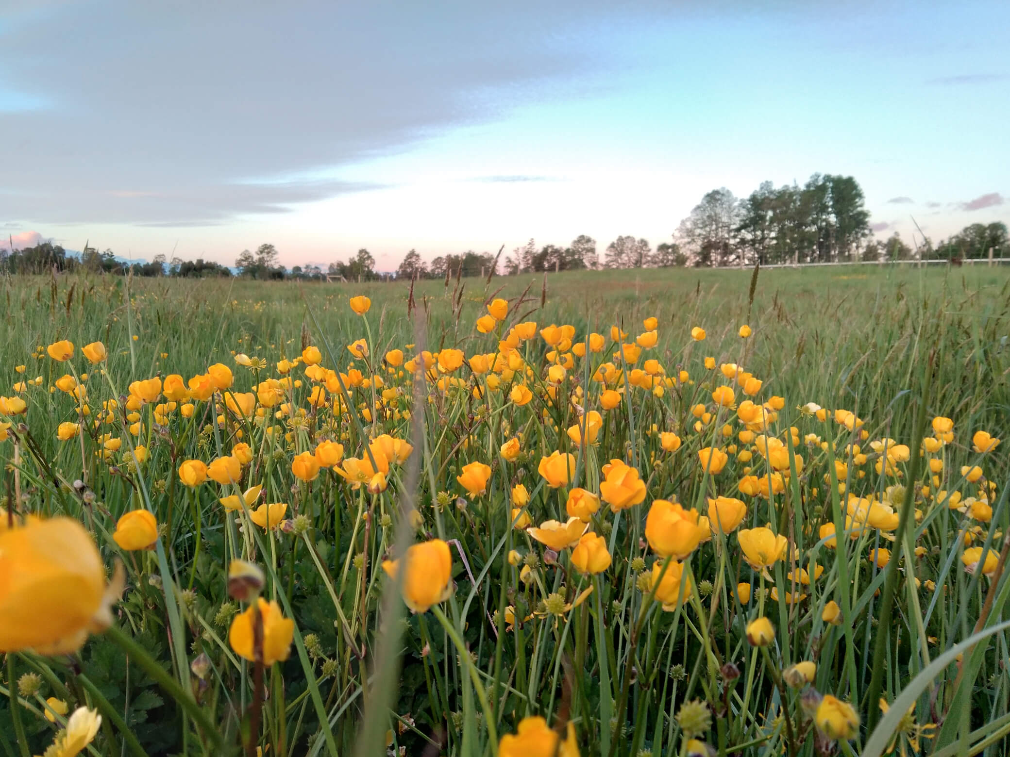 La Sonrisa del Prado