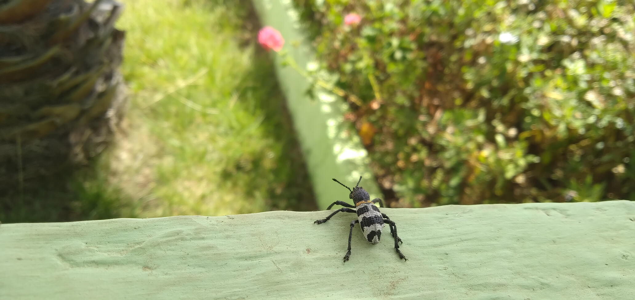 Pensamientos y reflecciones de John D. Bug